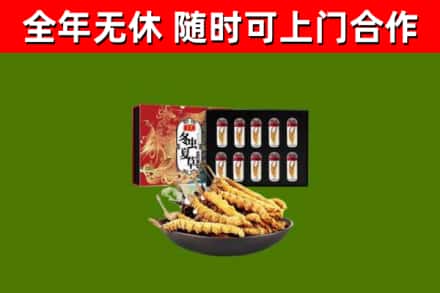 绵阳市烟酒回收冬虫夏草礼盒.jpg